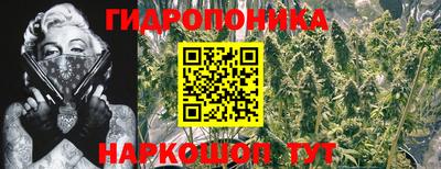 стафф Бугуруслан