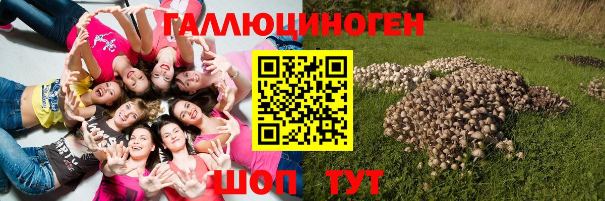 Галлюциногенные грибы Cubensis Отрадный
